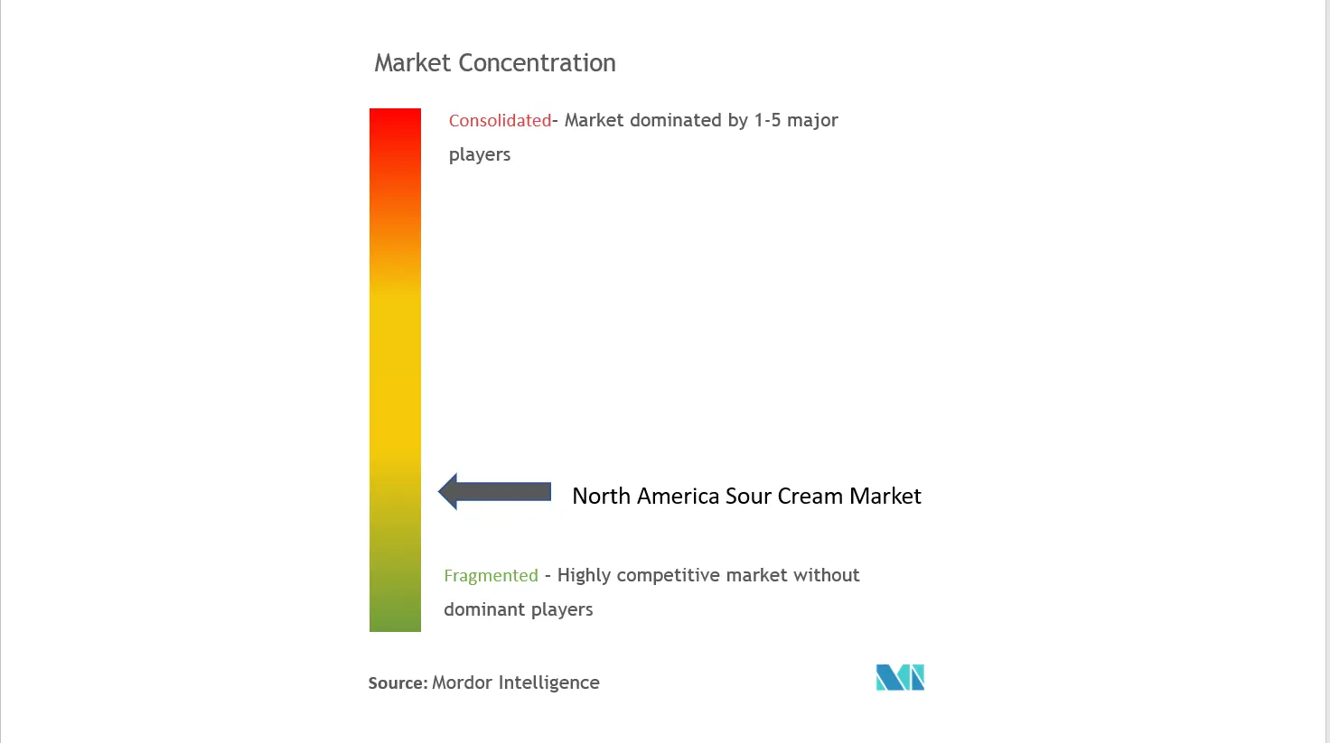 Crema agria de América del NorteConcentración del Mercado