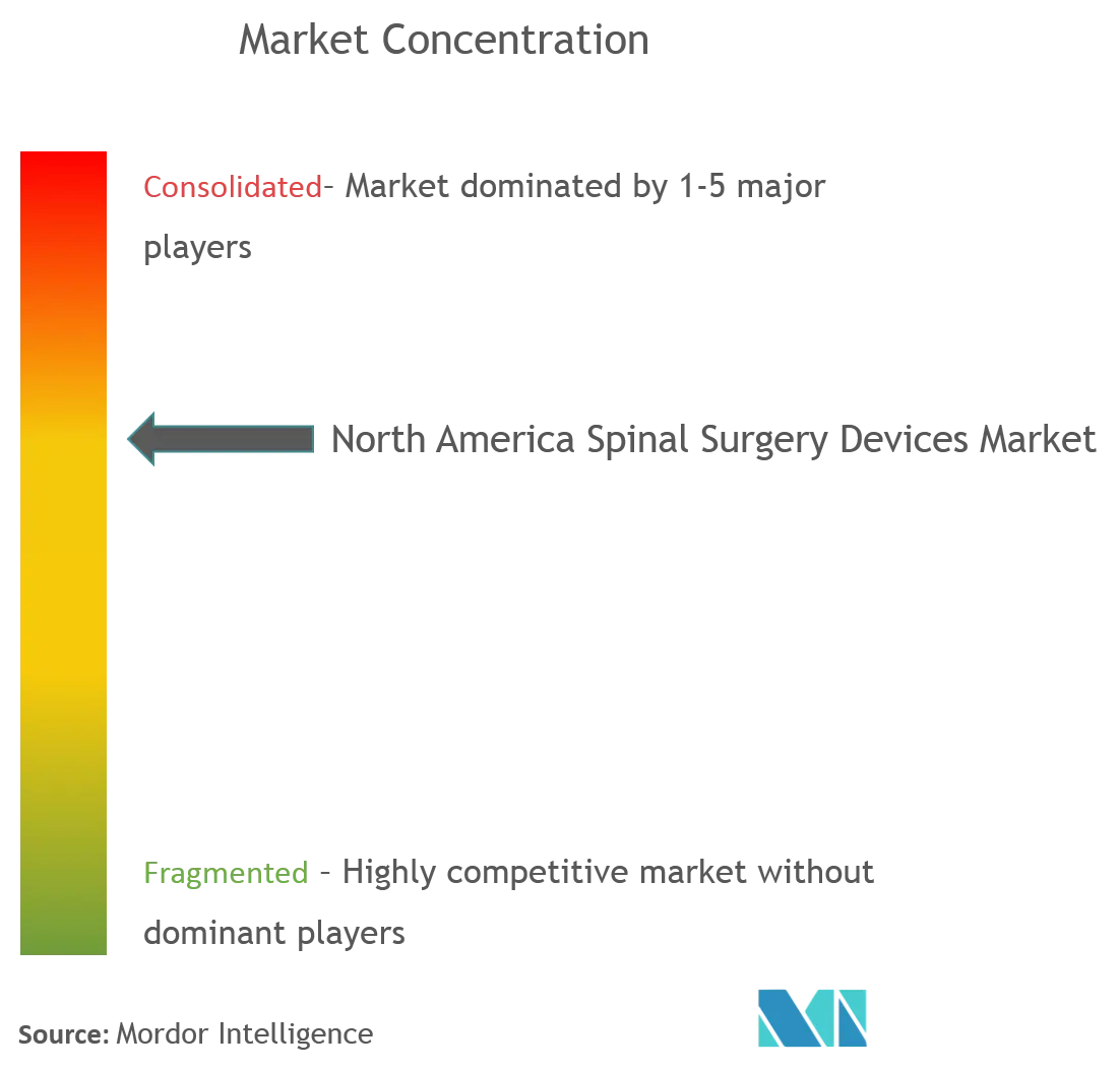 Zimmer Biomet, Stryker Corporation, Johnson Johnson, Medtronic plc und Globus Medical.