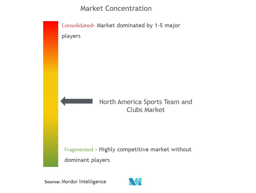 North America Sports Team And Clubs Market Concentration