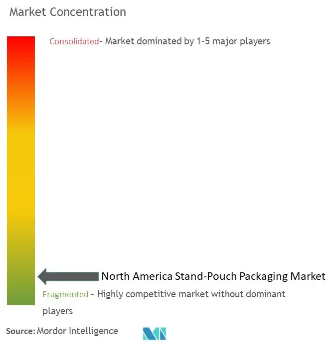 North America Stand-Up Pouch Packaging Market Concentration