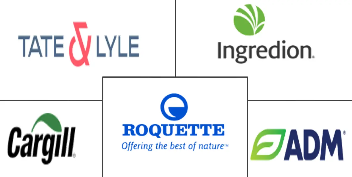 Major players in North America Starch Derivatives industry