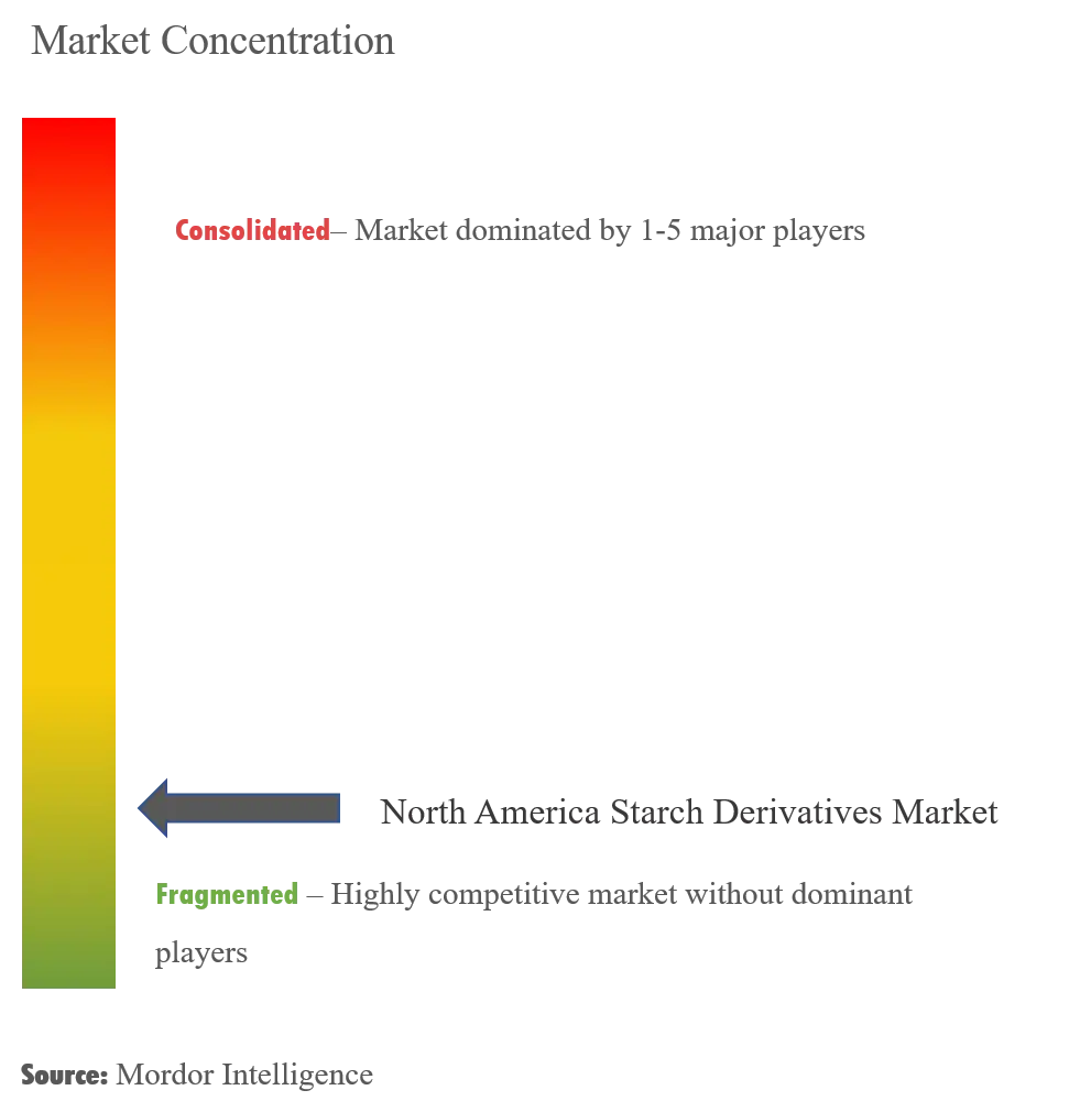 North America Starch Derivatives Market Concentration