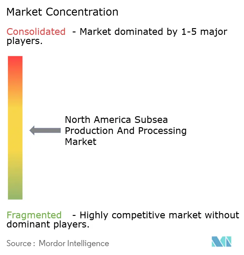 Market concentration analysis of the North America Subsea Production & Processing Industry