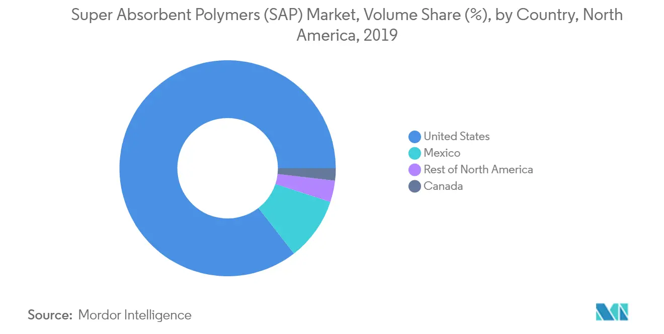 North America Super Absorbent Polymers (SAP) Market Report