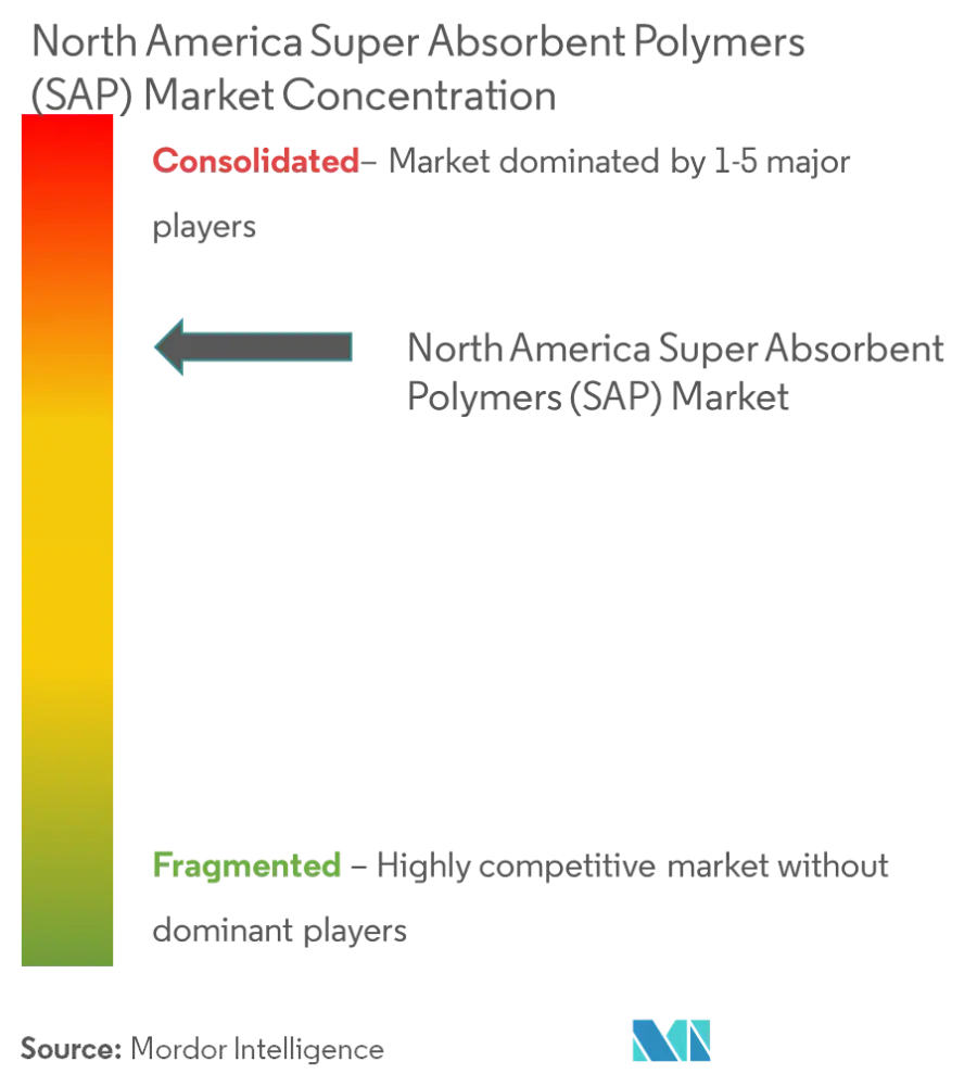 Polímeros súper absorbentes (SAP) de América del NorteConcentración del Mercado