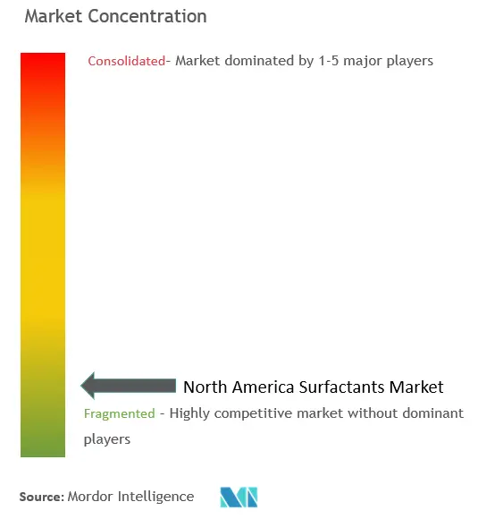 北米の界面活性剤市場集中度