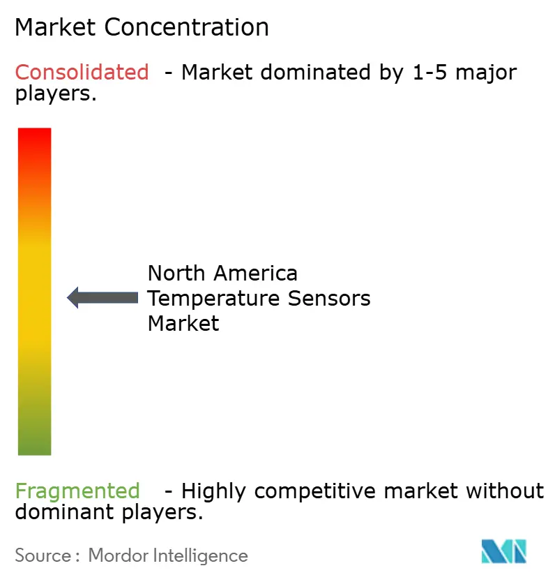 北米温度センサー市場 - 市場集中度