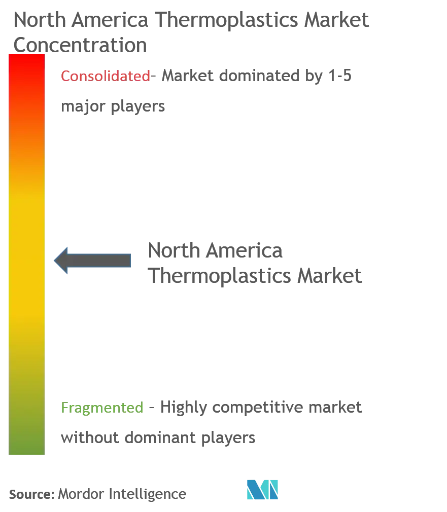 North America Thermoplastics Market - Market Concentration.png