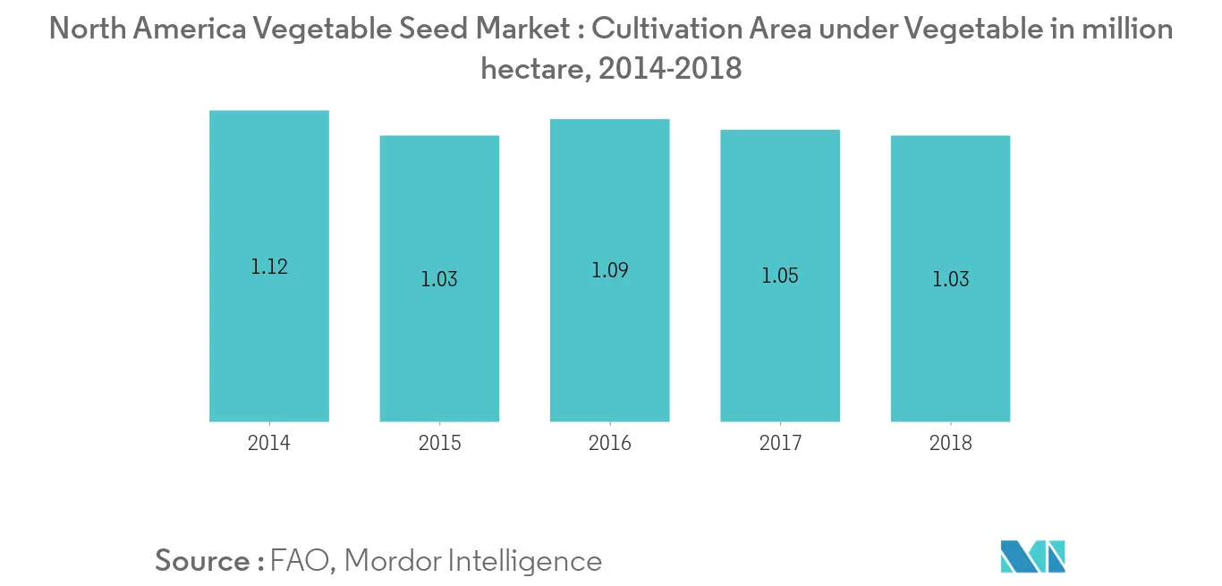 vegetable seed2