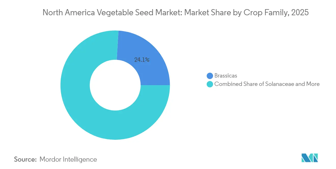North America Vegetable Seed Market: Market Share by Crop Family, 2025