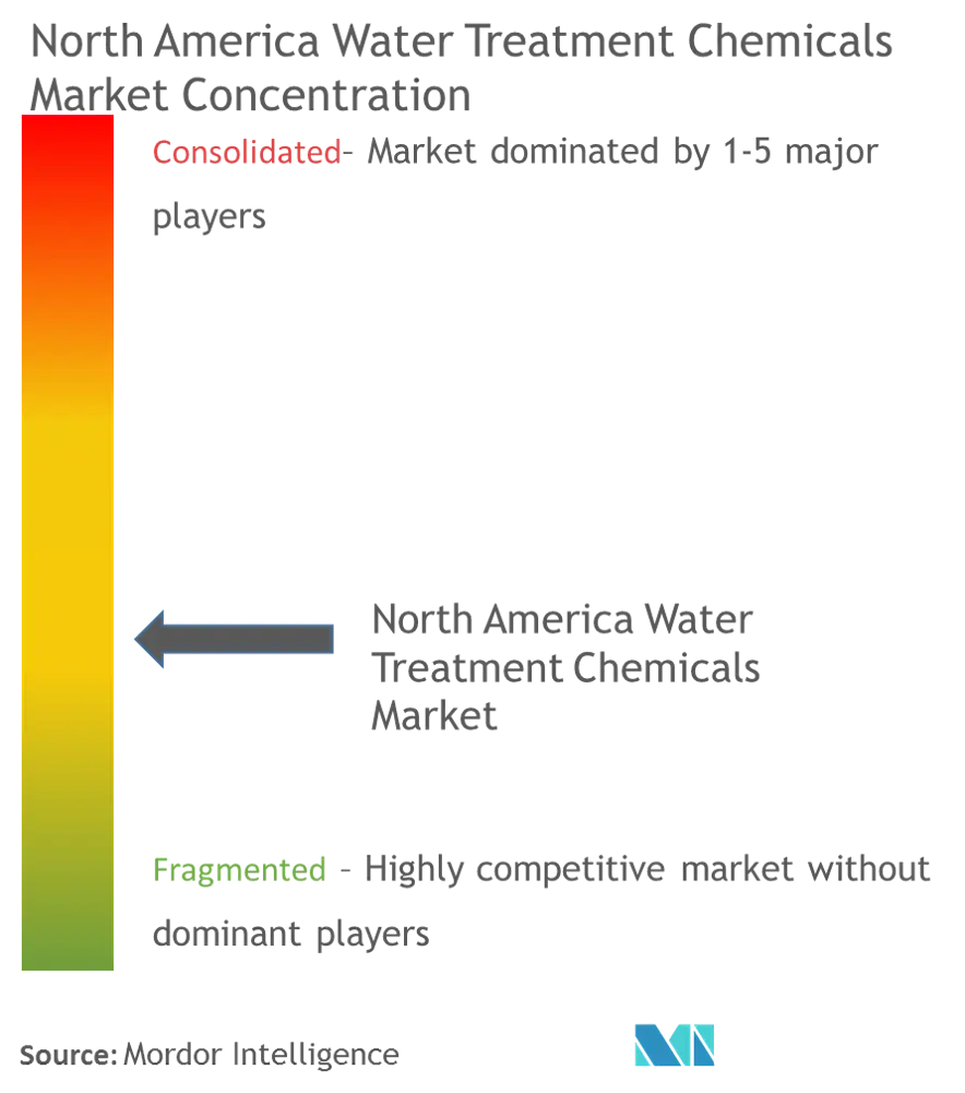 North America Water Treatment Chemicals market - Market Concentration.png