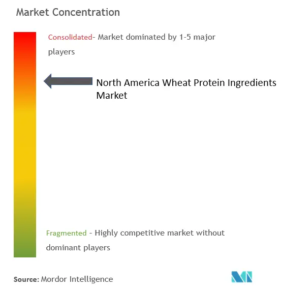 Concentração do mercado de ingredientes de proteína de trigo na América do Norte
