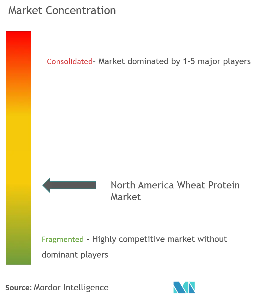 North America Wheat Protein Market Concentration