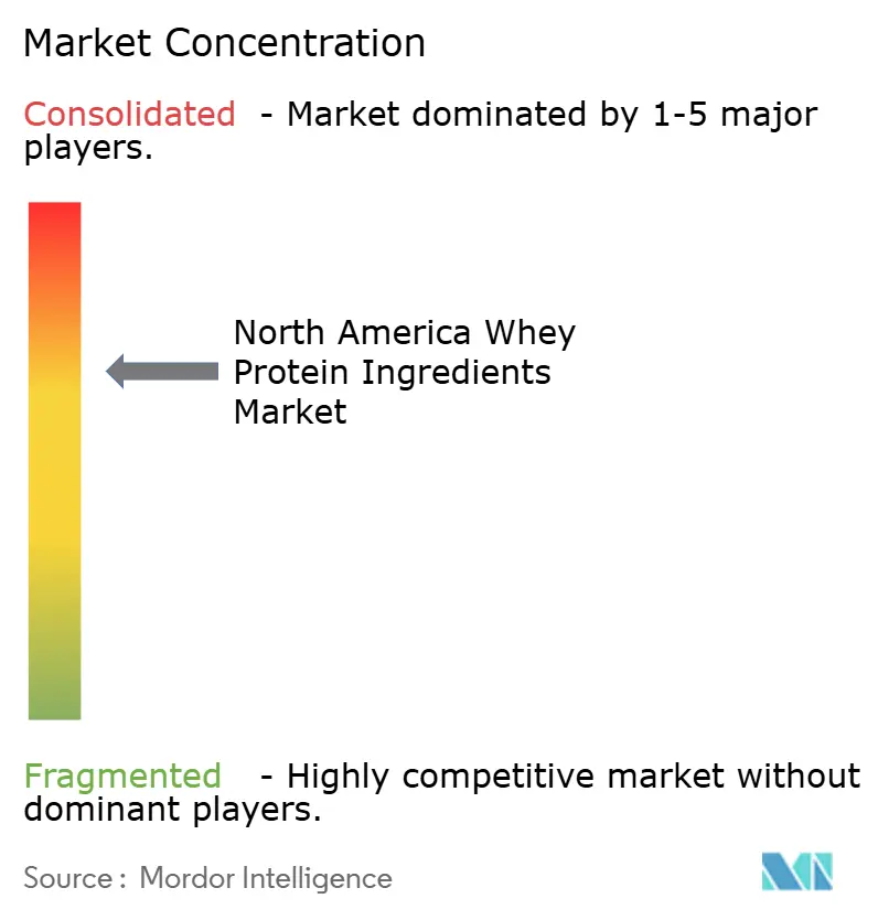 North America Whey Protein Ingredients Market Concentration