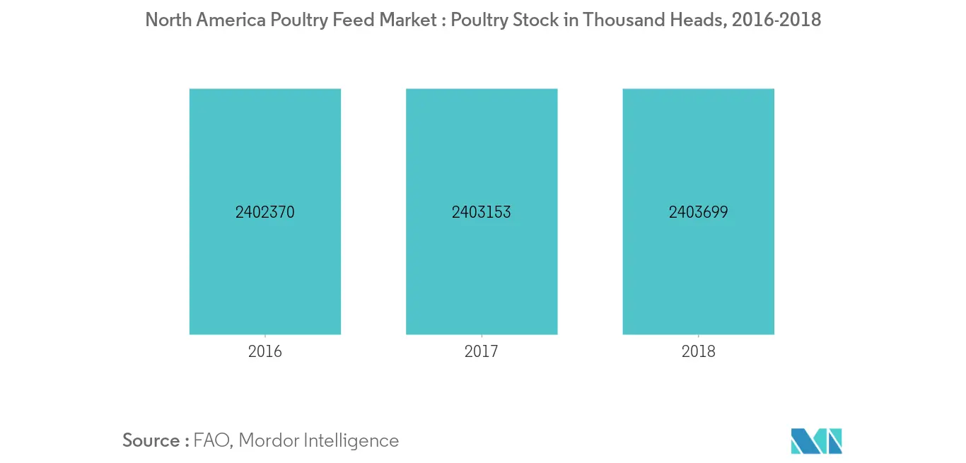 North America Poultry Feed Market, Poulty  Stock in Thousand Heads, 2016-2018