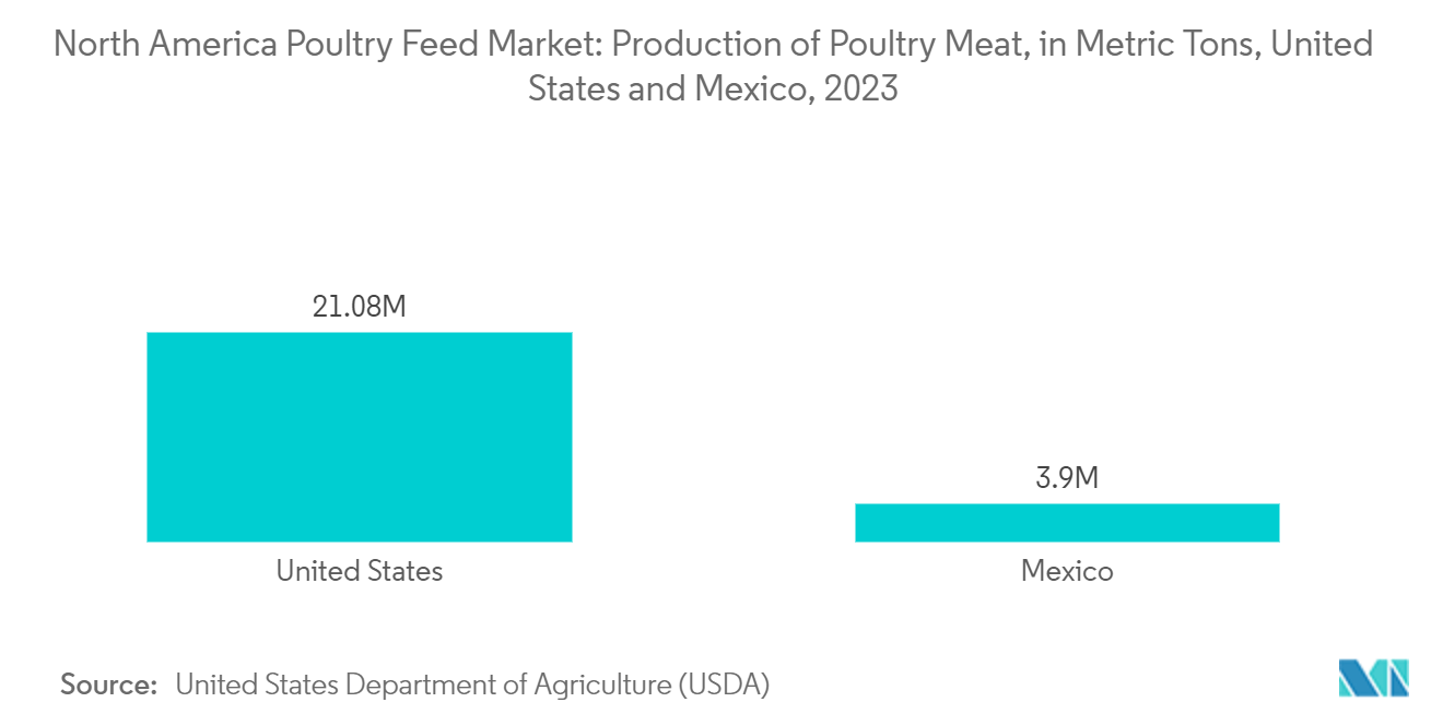 North America Poultry Feed Market: Production of Poultry Meat, in Metric Tons, United States and Mexico, 2023