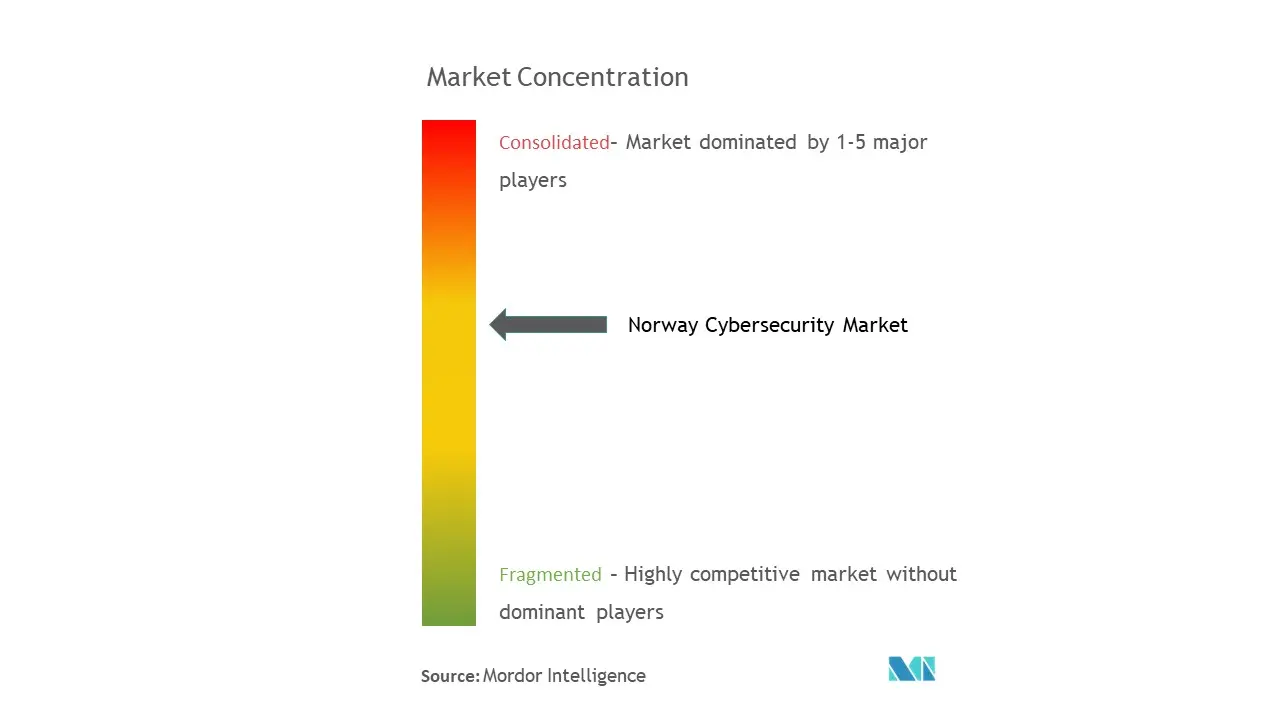 Norway Cybersecurity Market Concentration