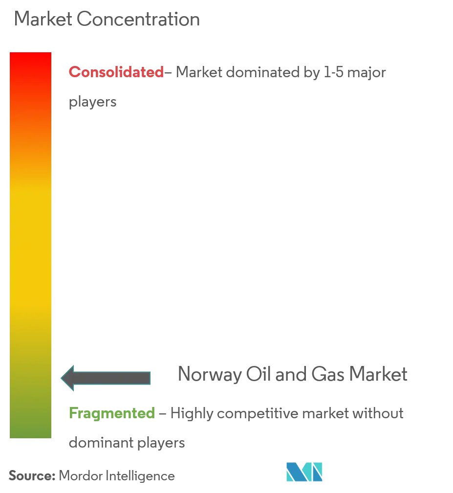 Norway Oil and Gas Market Market Concentration.png