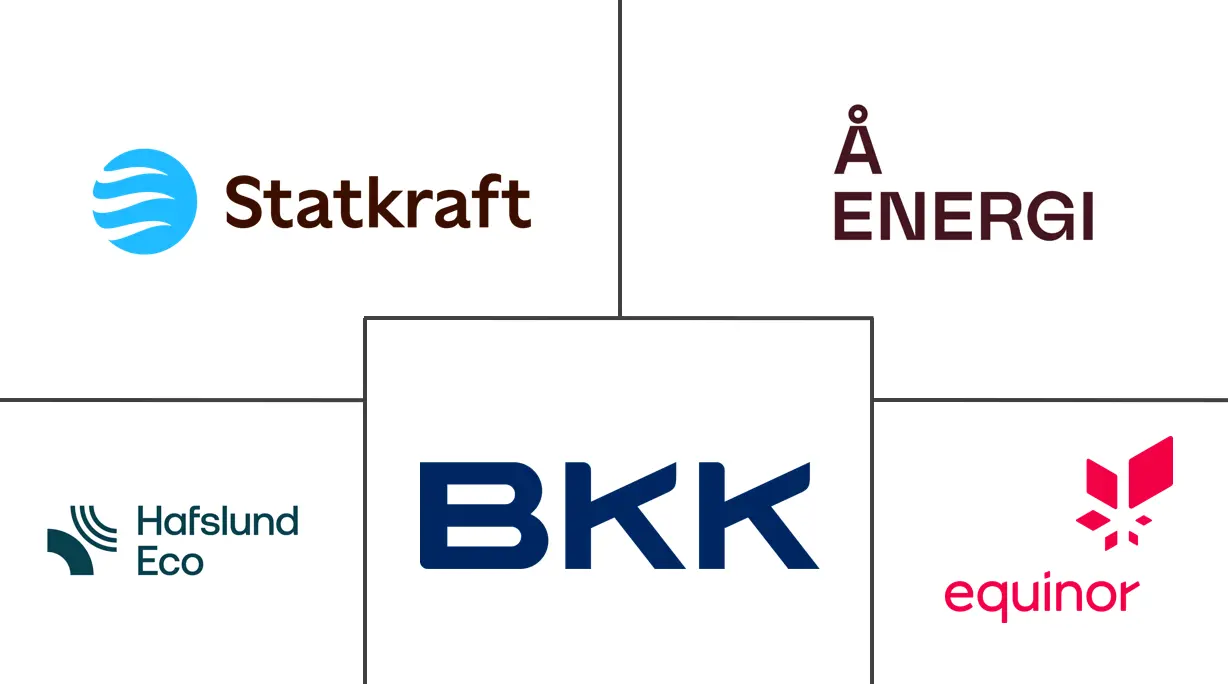 Major players in Norway Power industry