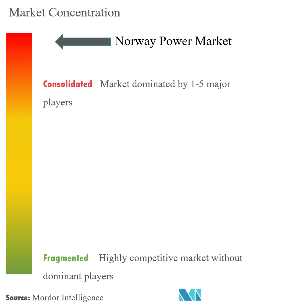 Norway Power Market Concentration