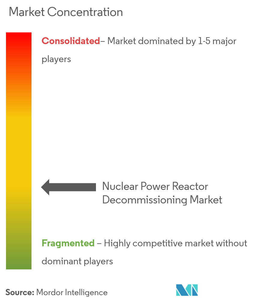 Nuclear Decommissioning Market Concentration