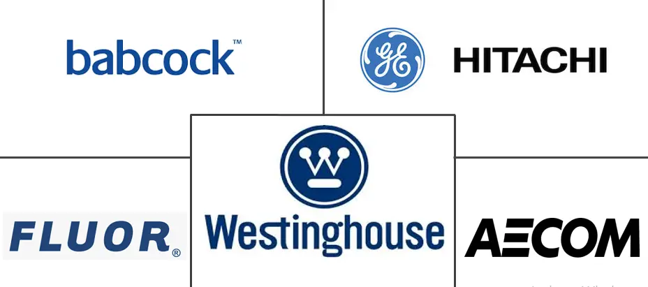 Major players in Nuclear Decommissioning industry