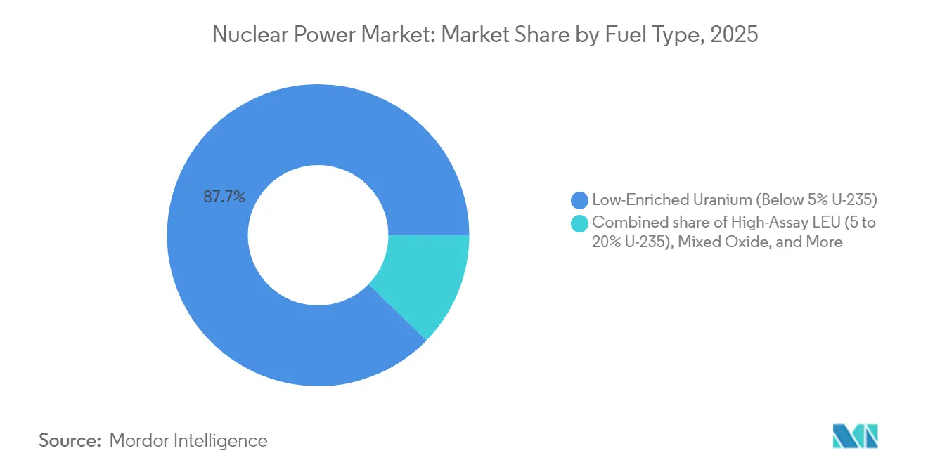 Nuclear Power Market: Market Share by Fuel Type, 2025