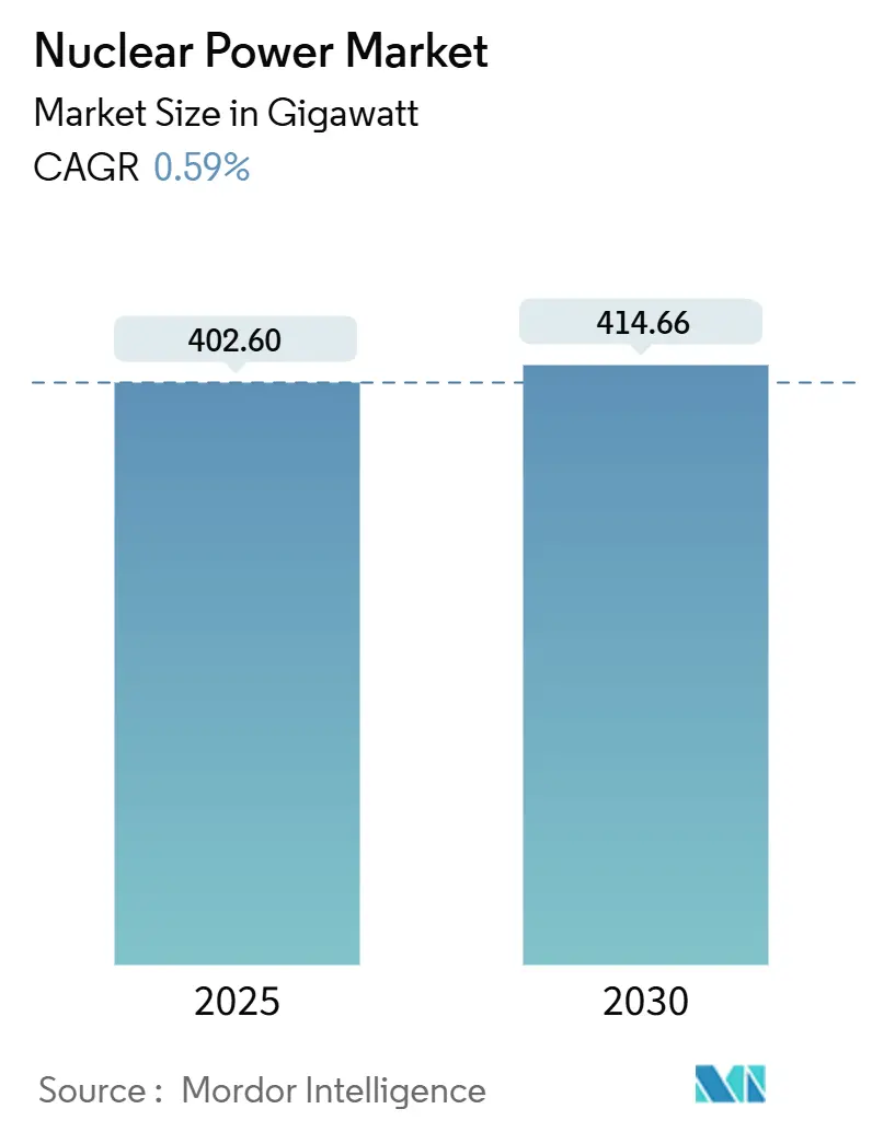 Nuclear Power Market (2025 - 2030)