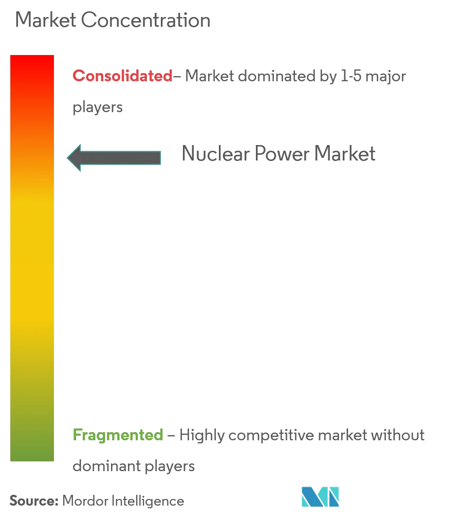 Nuclear Power Market  Concentration