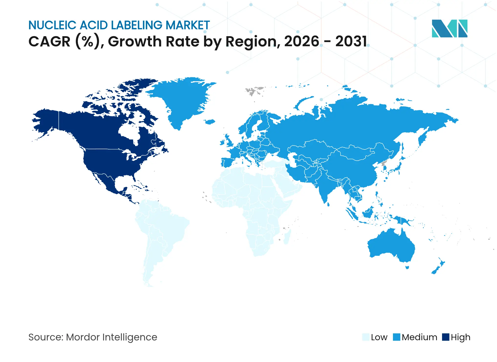 Nucleic Acid Labeling Market