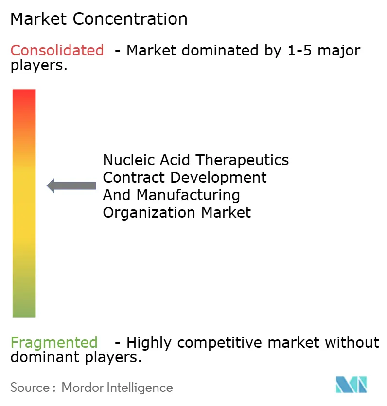 핵산 치료제 CDMO 바카라 사이트 순위의 바카라 사이트 순위 집중도 분석