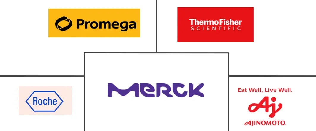 Related Companies Logo