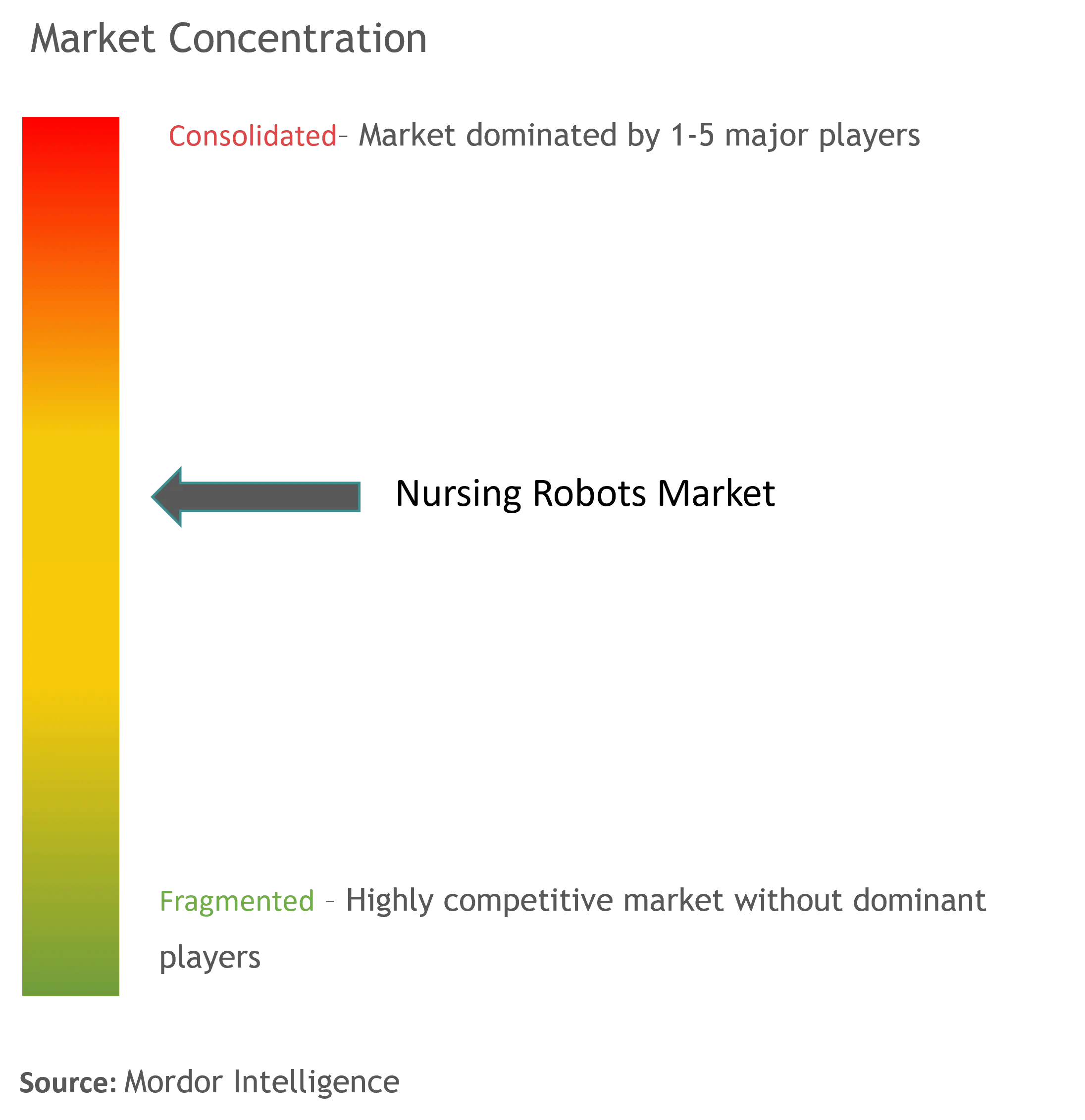 Nursing Robots Market Concentration