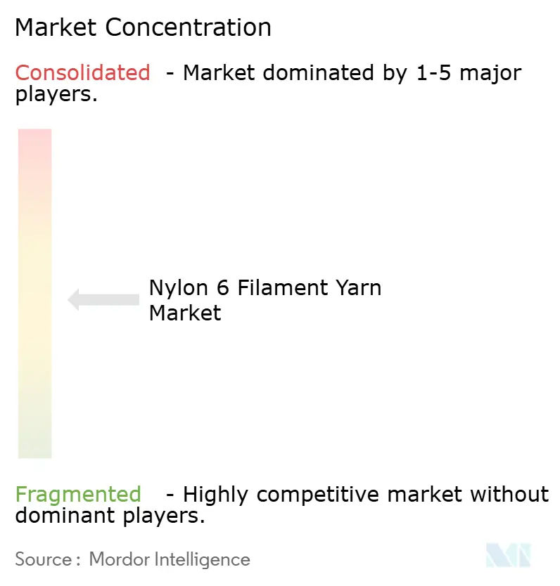 Nylon 6 Filament Yarn Market Concentration