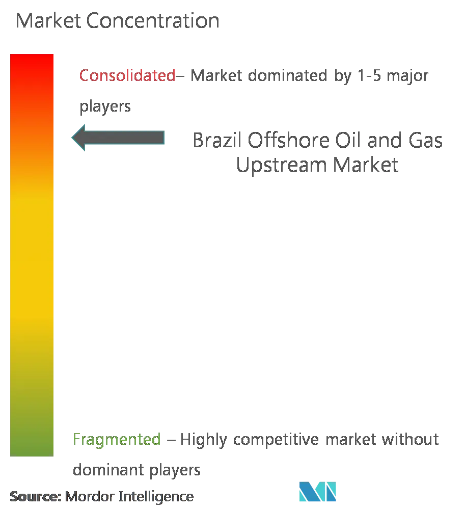 Market Concentration- Brazil Offshore Oil and Gas Upstream Market.png