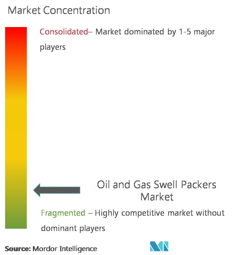石油・ガス用スウェルパッカーの市場集中度