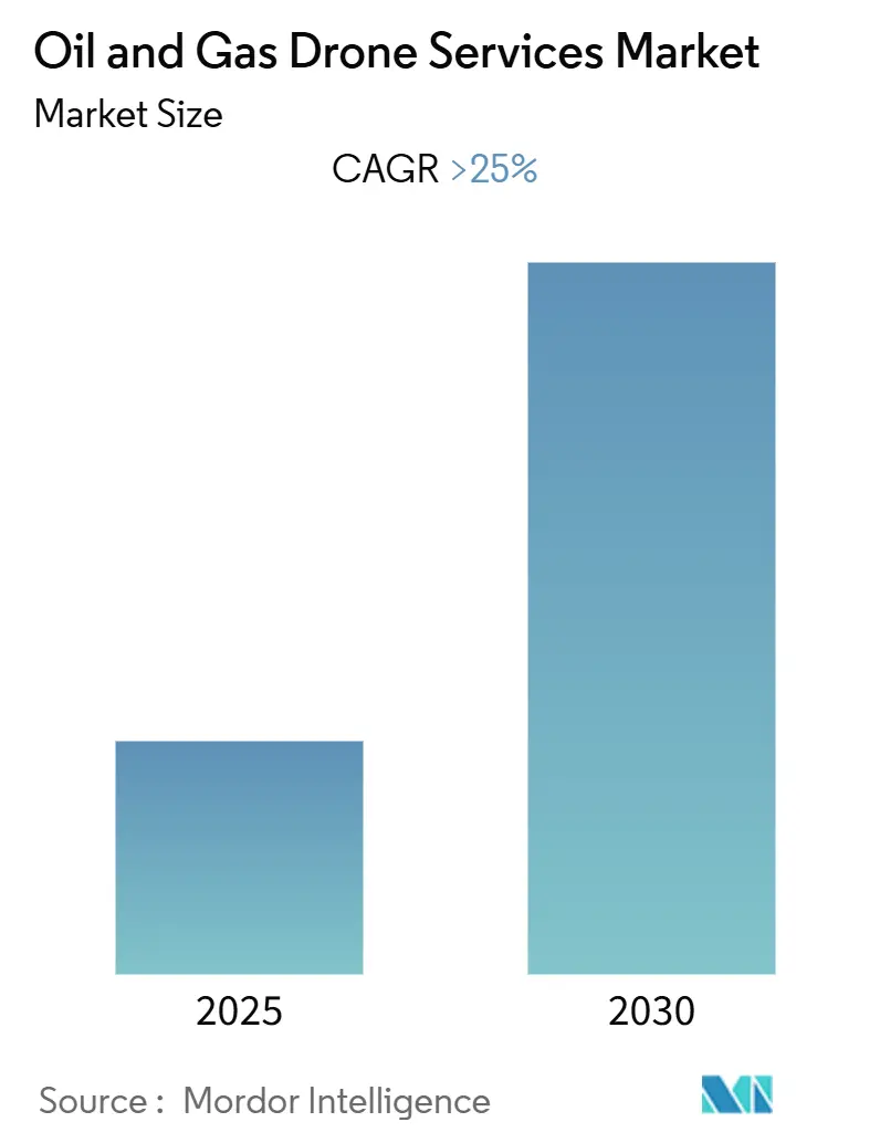 Oil And Gas Drone Services Market (2025 - 2030)