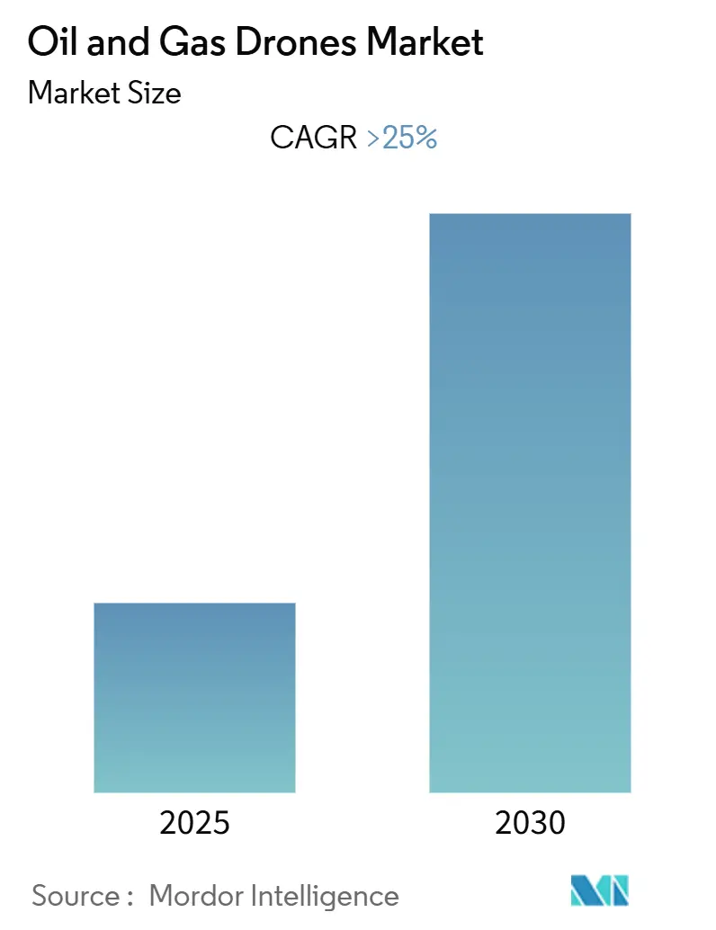 Oil And Gas Drones Market (2025 - 2030)