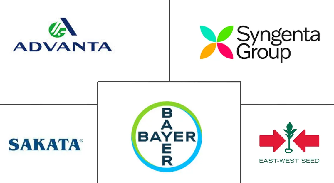 Major players in Okra Seeds industry