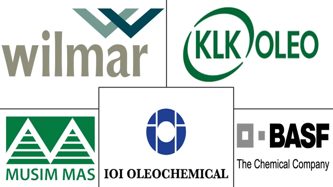 Top Oleochemicals Major Players