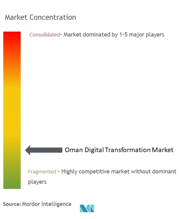 オマーンのデジタルトランスフォーメーション市場の集中