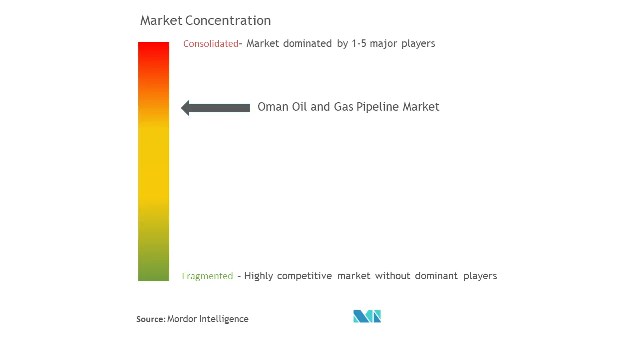 Oman Oil and Gas Pipeline Market Concentration