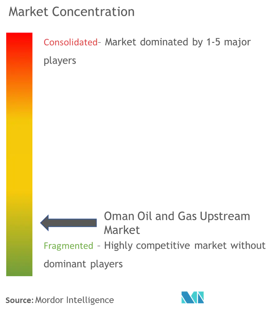 Oman Oil and Gas Upstream Market Concentration