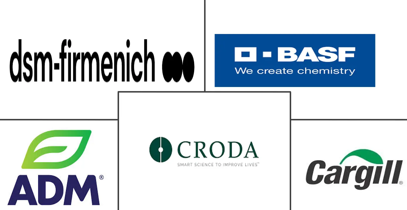 Logo delle aziende correlate