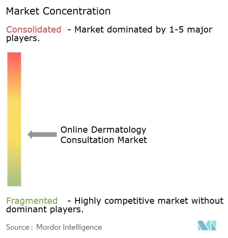 Online Dermatology Consultation Market Concentration