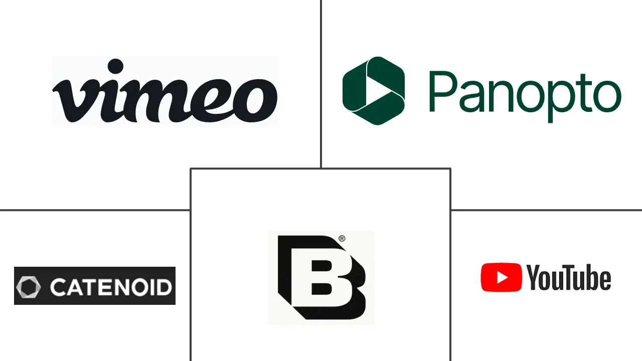 Major players in Online Video Platforms industry