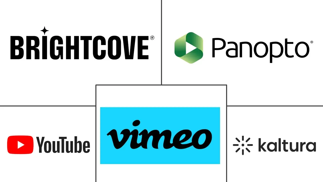 Hauptakteure des Marktes für Online-Videoplattformen
