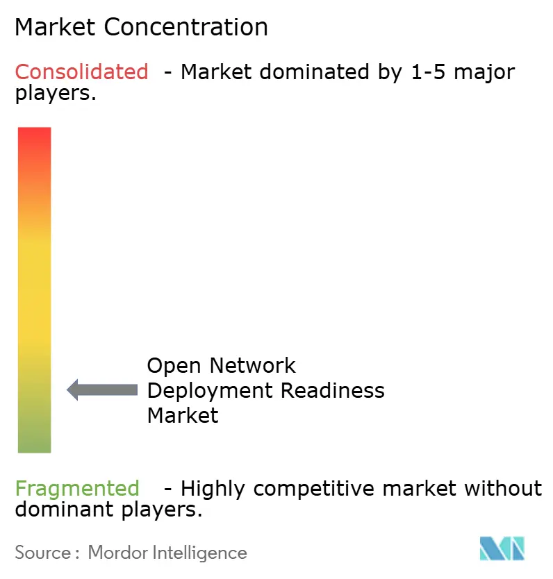 Open Network Deployment Readiness Market Concentration