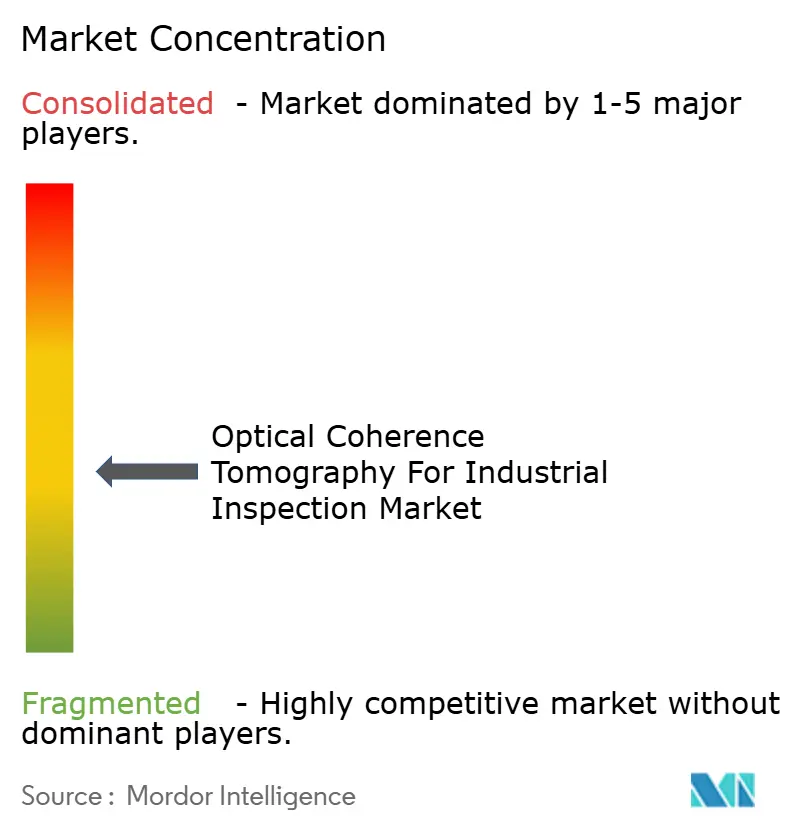 Optical Coherence Tomography For Industrial Inspection Market Concentration