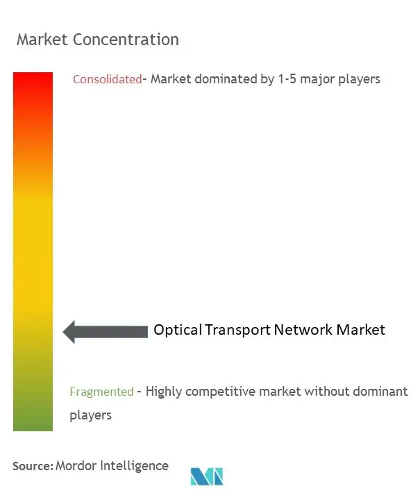 Red de transporte ópticoConcentración del Mercado